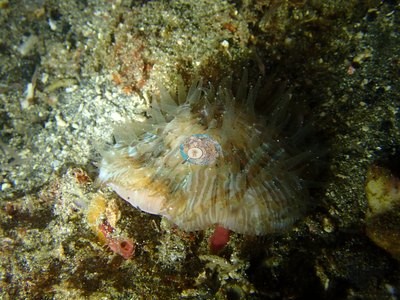 Image 14