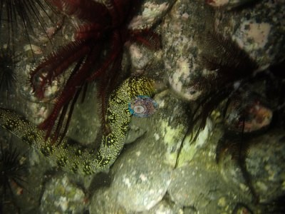 Image 35