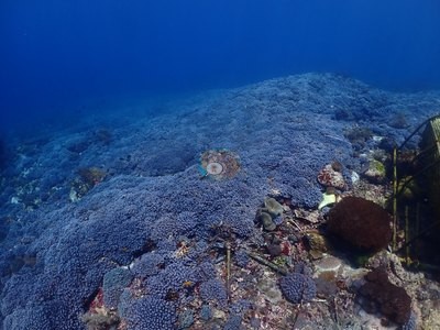 Image 13