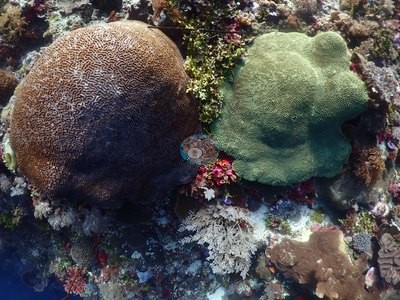 Image 13