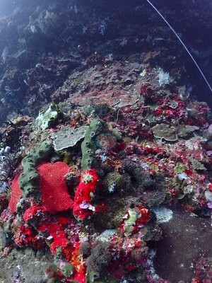 Image 8