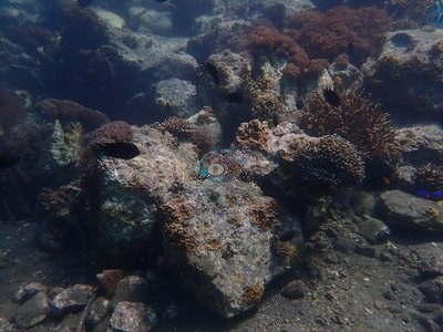 Image 13