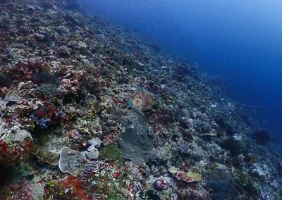Image 18