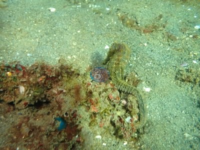 Image 22