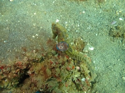 Image 9