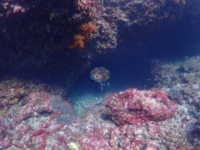 Image 12