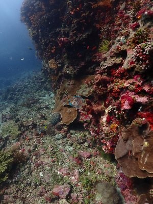 Image 13