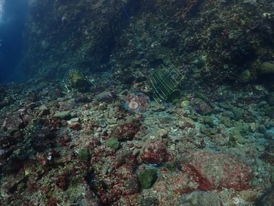 Image 37