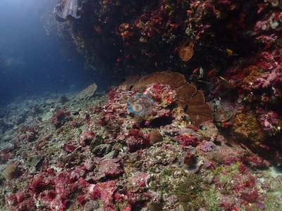Image 6