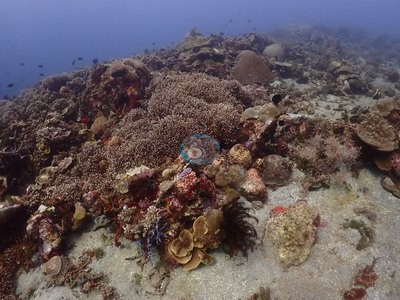 Image 10