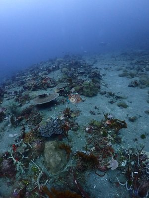 Image 18