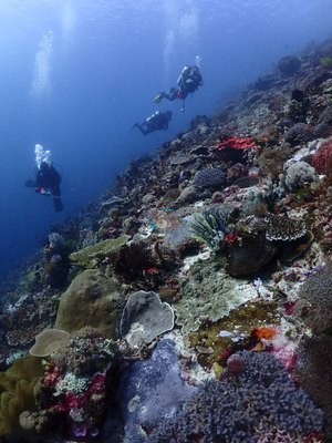 Image 12
