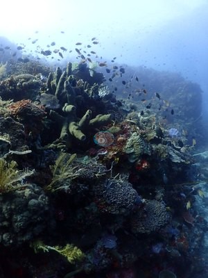 Image 13