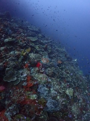 Image 23