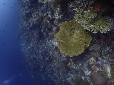 Image 9