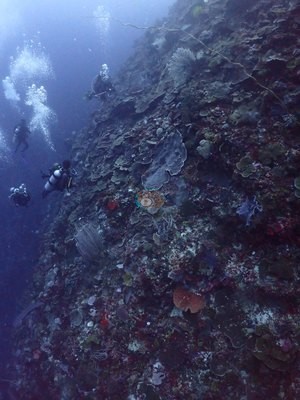 Image 13