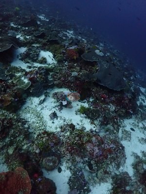 Image 53
