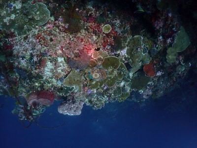 Image 11