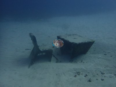 Image 11