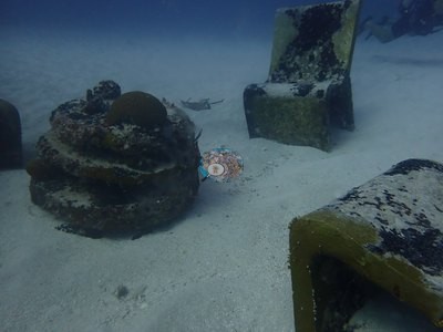 Image 38