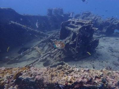 Image 39