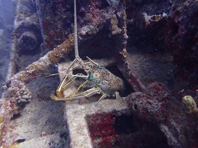 Image 12
