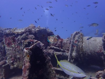 Image 38