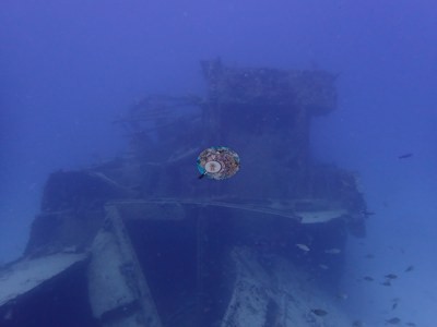 Image 5