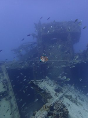 Image 7