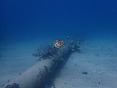 Image 15