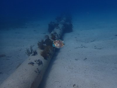 Image 53