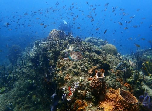 Image 10