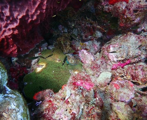 Image 11