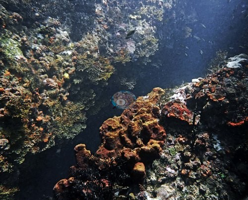 Image 12