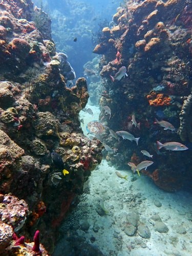 Image 15