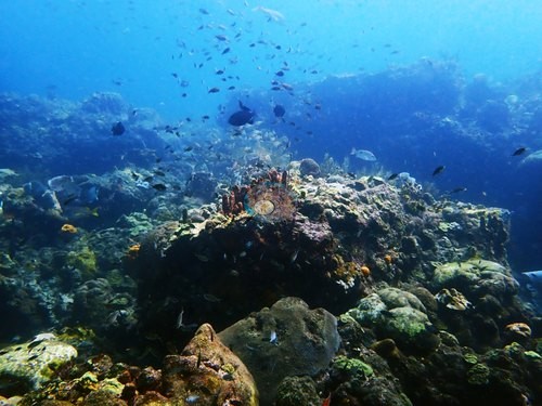 Image 17