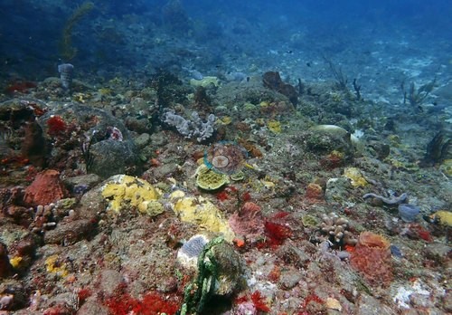 Image 9