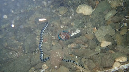 Image 15