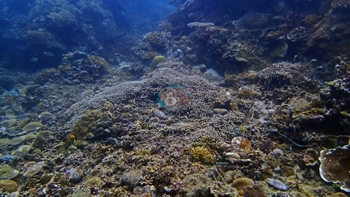 Image 13