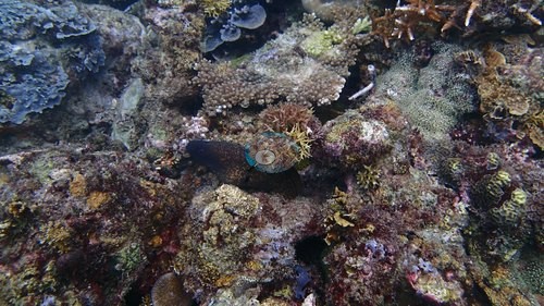 Image 15