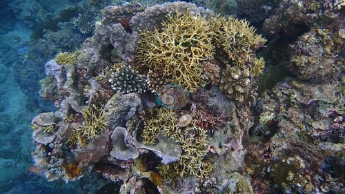 Image 22