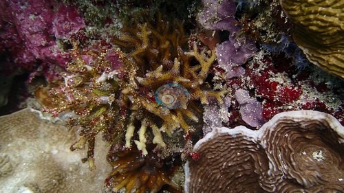 Image 11