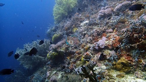 Image 12