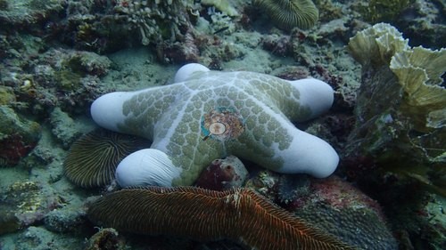 Image 12
