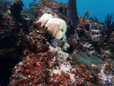 Image 10
