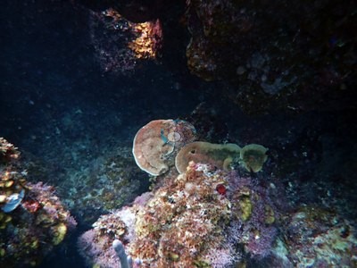 Image 12