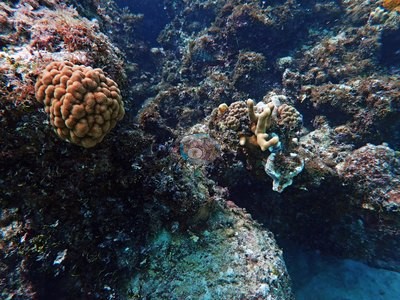 Image 15