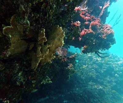 Image 22