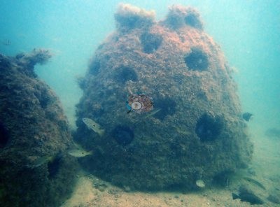 Image 11