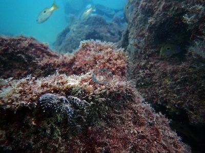 Image 14